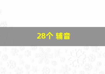 28个 辅音